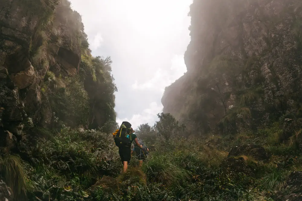 Breaking through the clouds on the way through Orange Peel Gap.