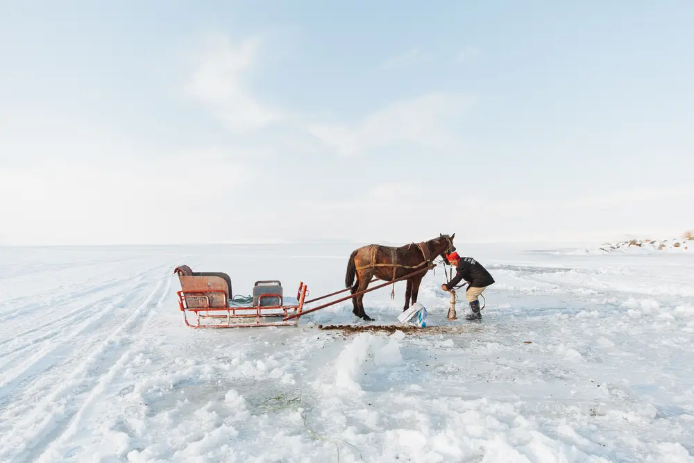 After lunch the chef took us on a nerve-wracking ride across the creaking ice.
