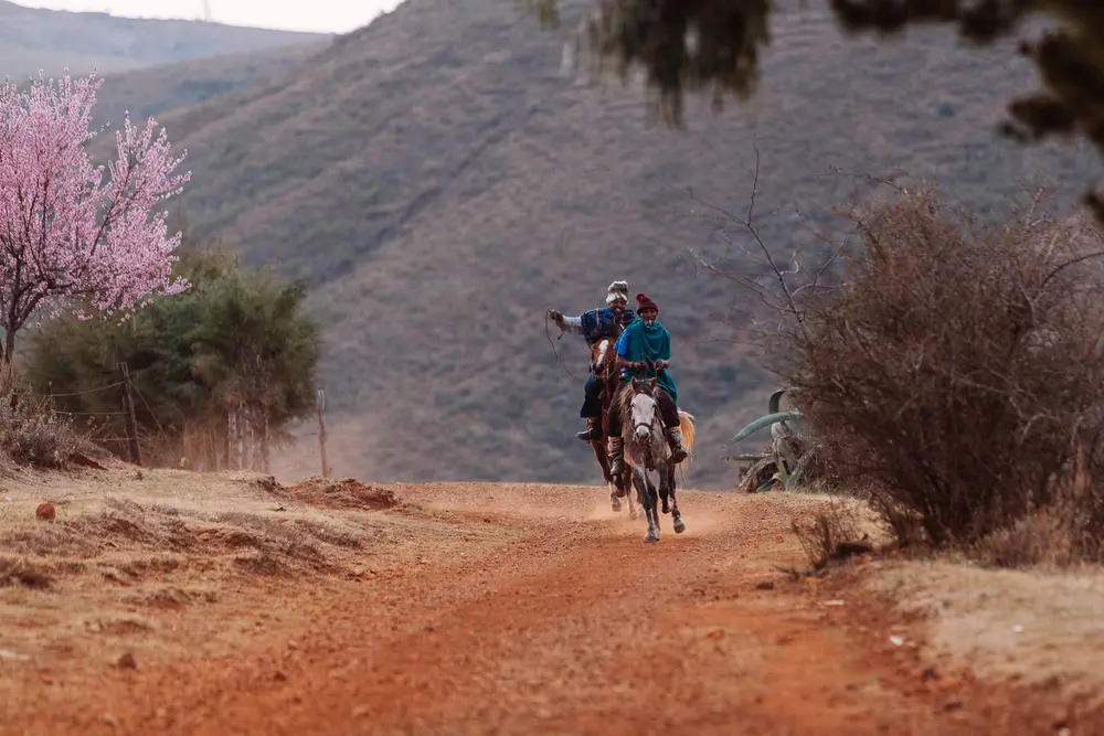On the road to the border, we stumbled upon a Bosotho horse race taking place in a small village. Racing ponies are trained to 'tripple', a gait between a trot and a canter.