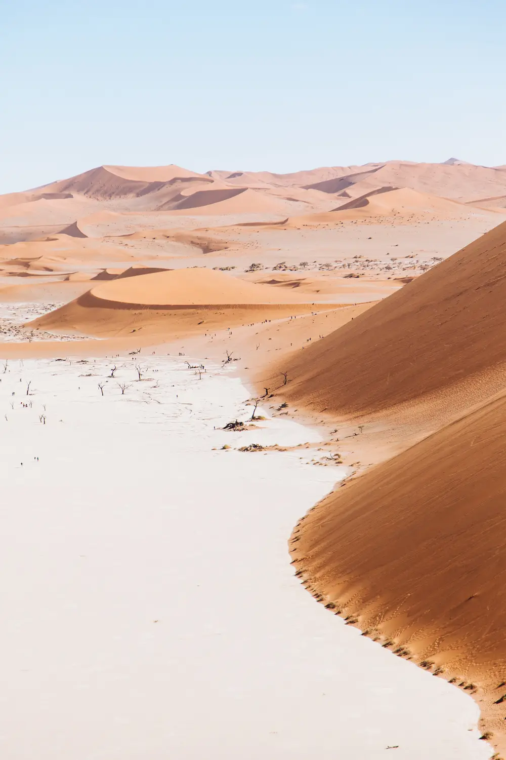 The Tsauchab River used to drain into here, nourishing desert life and even trees. But no longer. Some 900 years ago the climate dried up, and the dunes cut Dead Vlei off from the river.