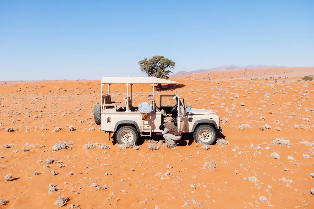 We spent the day exploring the microfauna of the desert with our guide, Jason. An interesting bug had just dashed under the car…