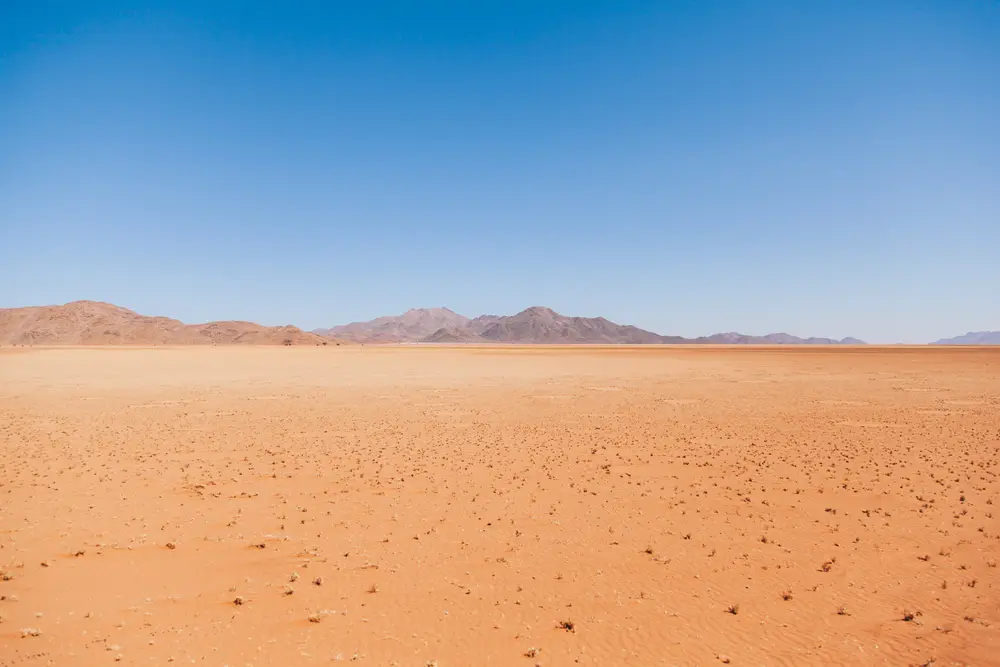 These mysterious bare circles in the sand dot the landscape. Numerous scientists have researched the circles but no one has yet been able to ultimately determine their cause or purpose. So they have become known as Fairy circles!