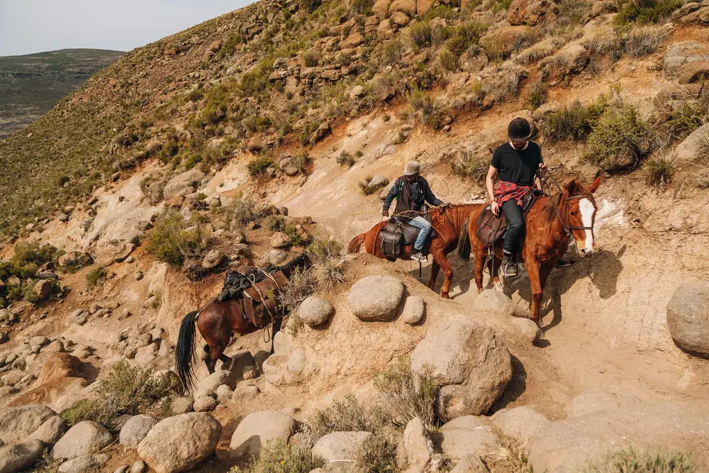 The change of transport was justified. With few rests, our horses climbed over mountain pass after mountain pass.