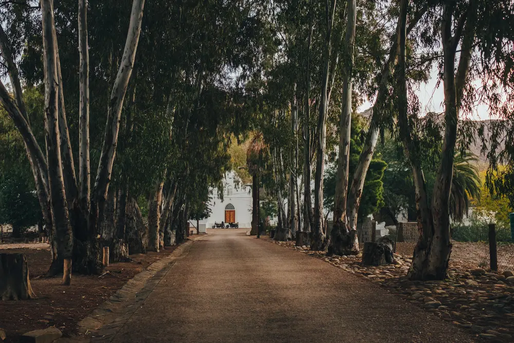 Wupperthal, a quaint hamlet nestled in the north of the Cederberg wilderness area