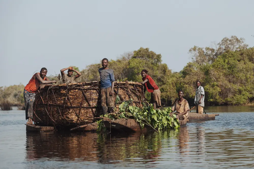 FIshermen gather vegetation to place in their fish nursery.
