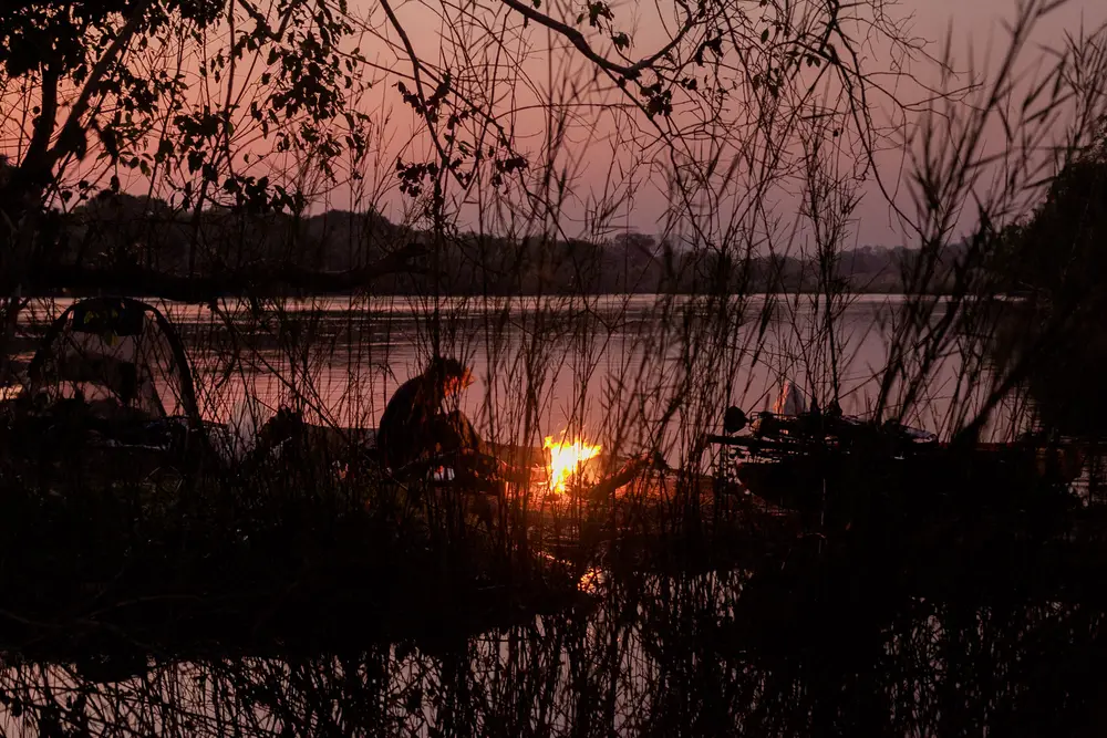Sunrise through the reeds whilst Charlie makes the morning cup of tea on the fire.